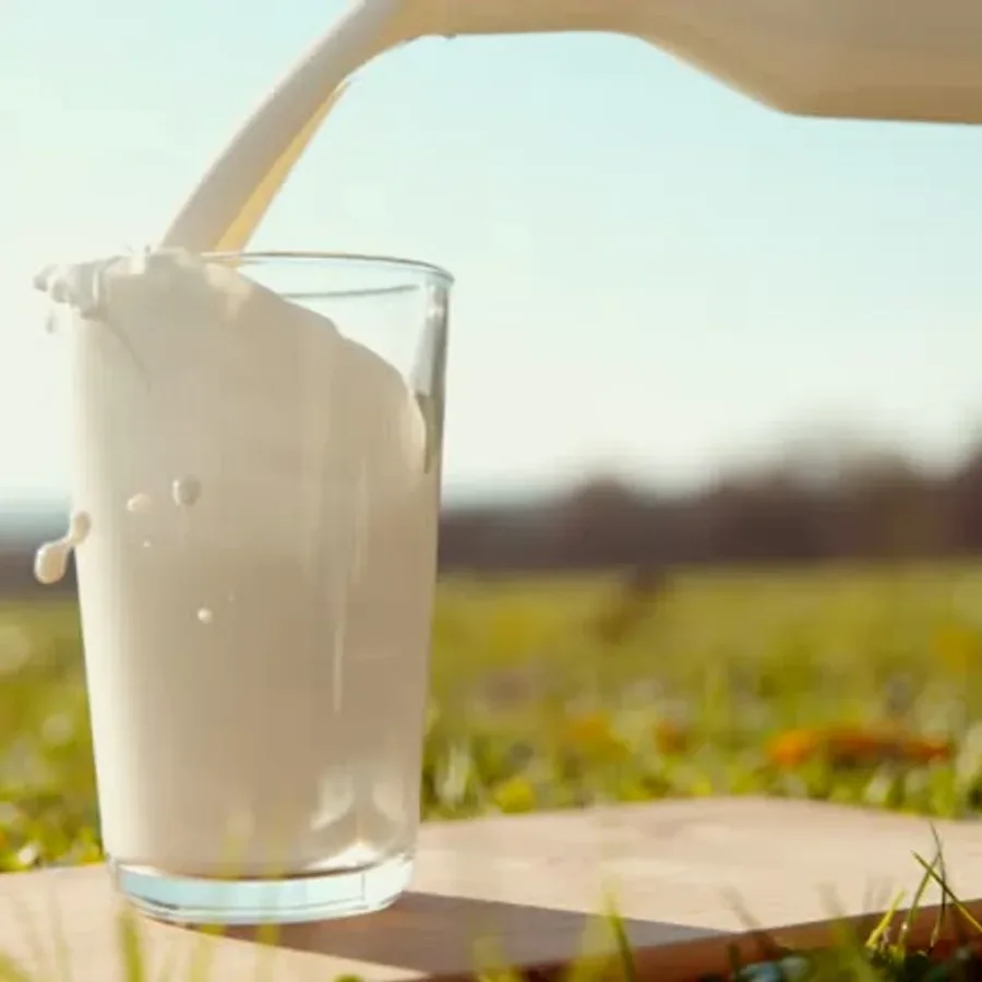 COUNTY LS16 BRASS DRAWING PINS 50s product image at MK Punjabi Sweets UK