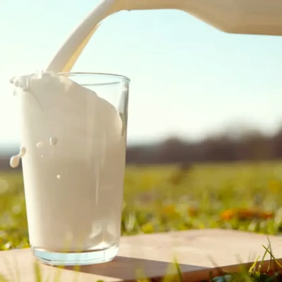 Navagraha Samidha 100g product image at MK Punjabi Sweets UK